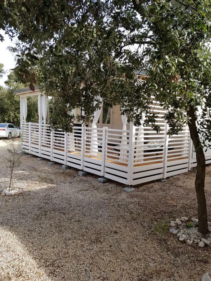 Summertime By Pearl Of The Biograd บีโอกราดนาโมรู ภายนอก รูปภาพ